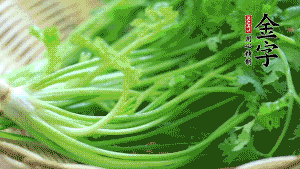 挑選鮮嫩的香菜，洗干凈后，處理成小段。